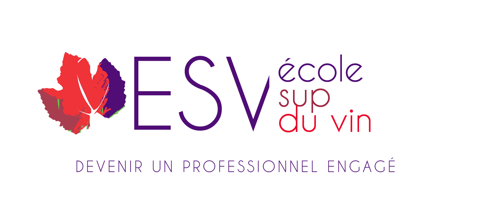 logo ecole 